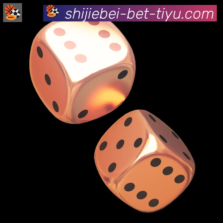 未来规划